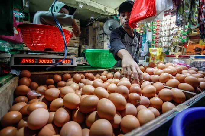 Kaltim Kekurangan 60 Persen Pasokan Telur, MBG Picu Lonjakan Permintaan
