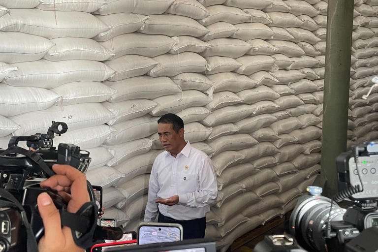 Mentan Ungkap Cadangan Beras Indonesia Tembus 5 Juta Ton, Catatan Baru dalam Sejarah