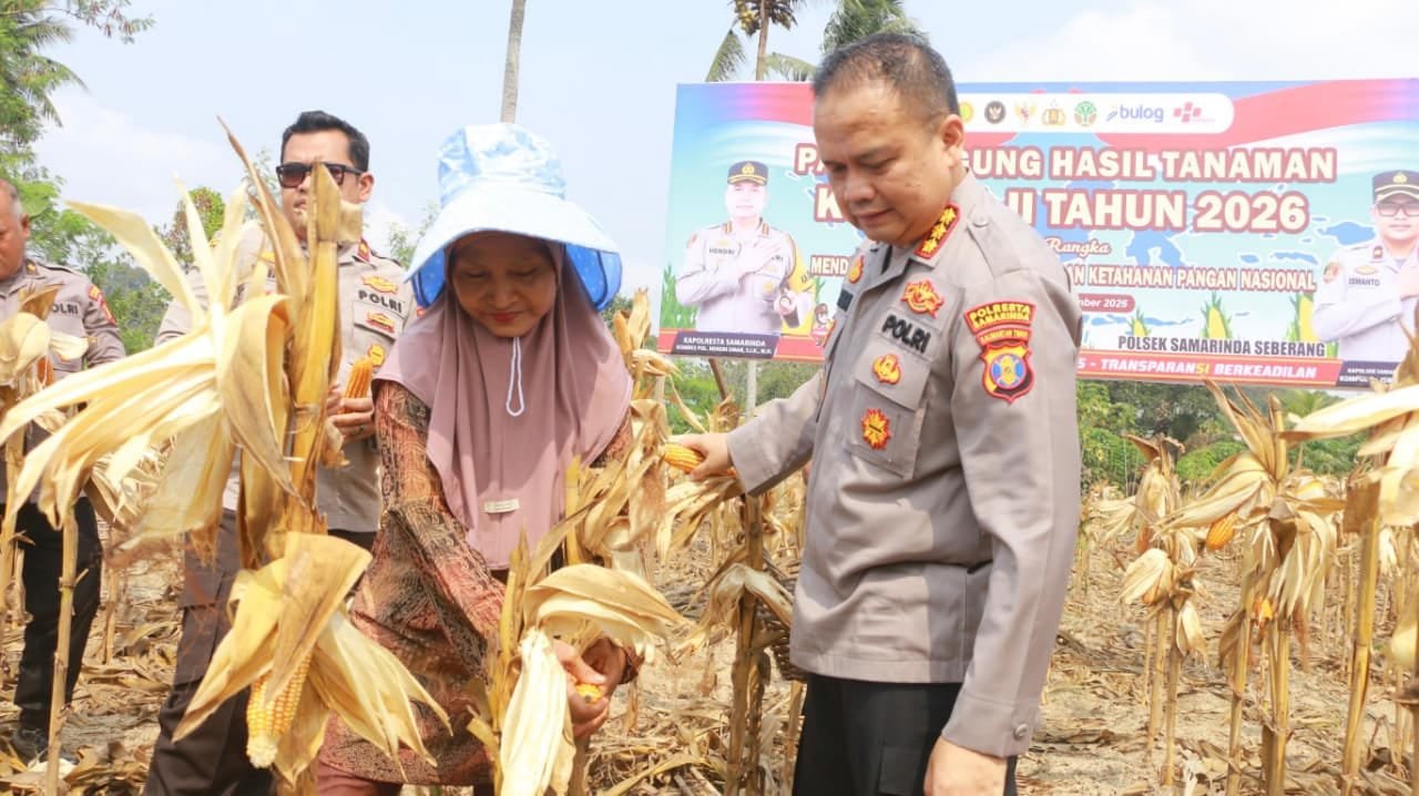Panen 1 Ton Jagung, Polresta Samarinda Perkuat Dukungan untuk Petani