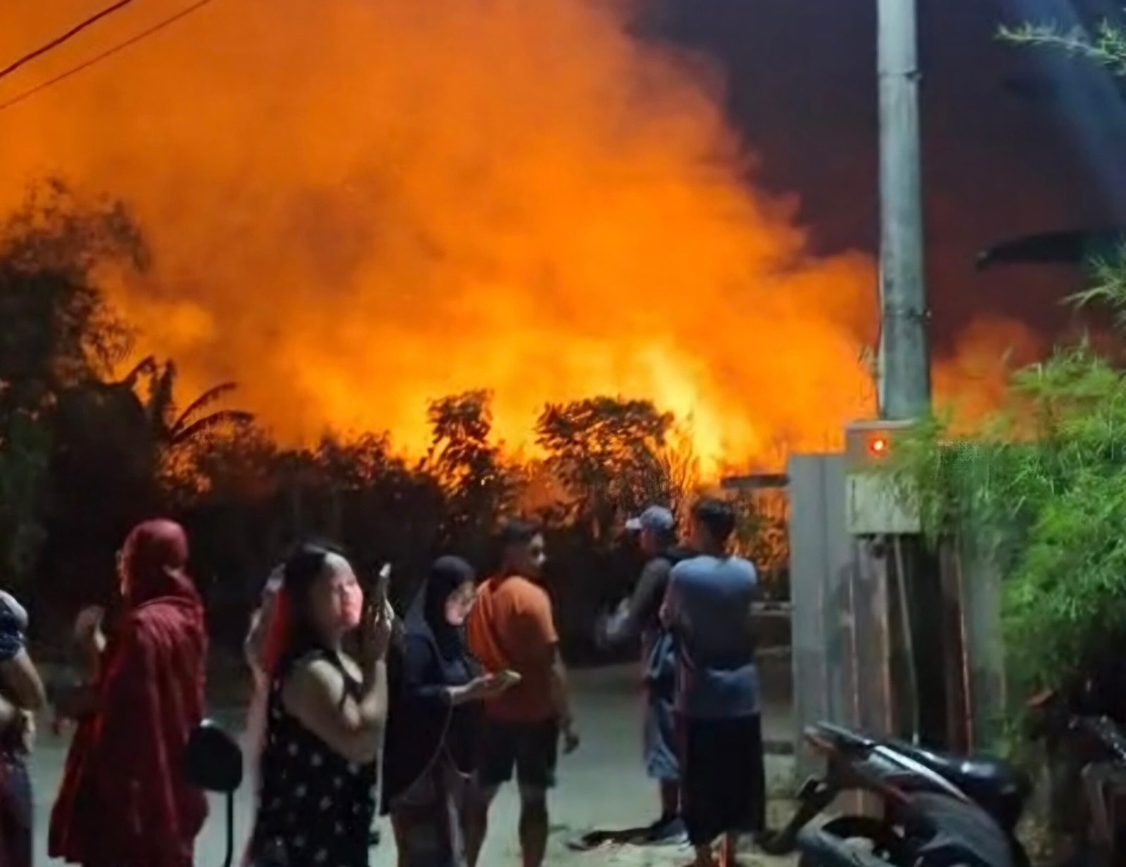 Kebakaran Lahan 2 Hektare di Bumi Sempaja, Api Berhasil Dipadamkan dalam Satu Jam