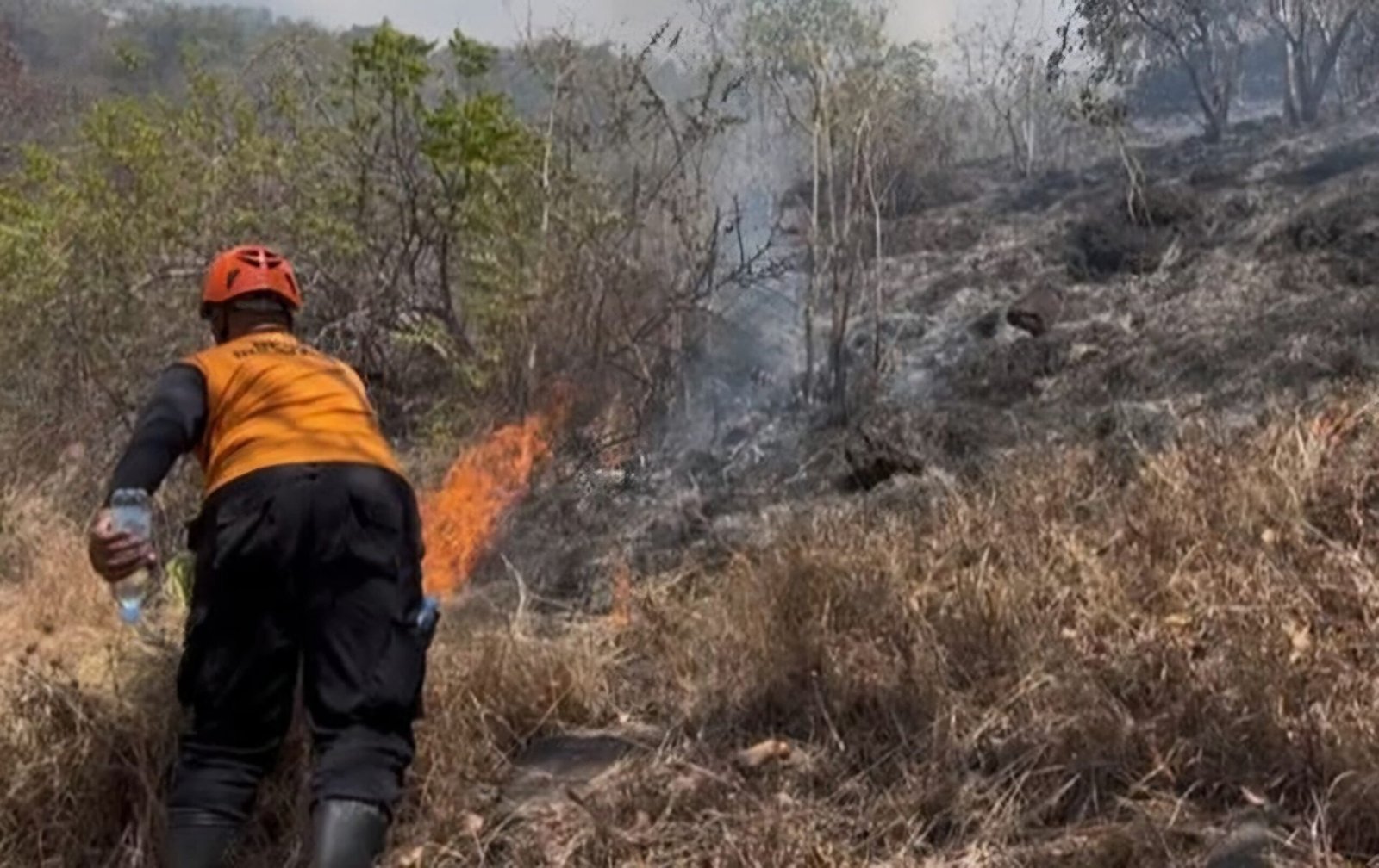 3 Pelaku Pembakaran Lahan di Samarinda Jadi Tersangka, Terancam 10 Tahun Penjara